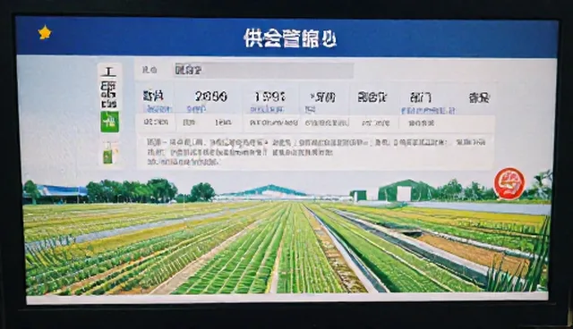 东莞品牌网站制作：本地市场行业动态与趋势分析